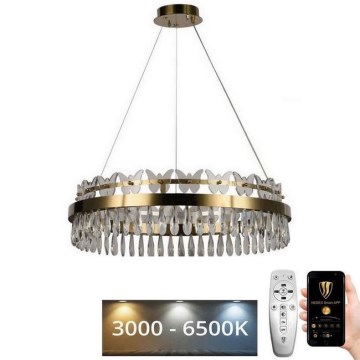 Lustră LED dimabilă pe cablu LED/80W/230V 3000-6500K auriu + telecomandă