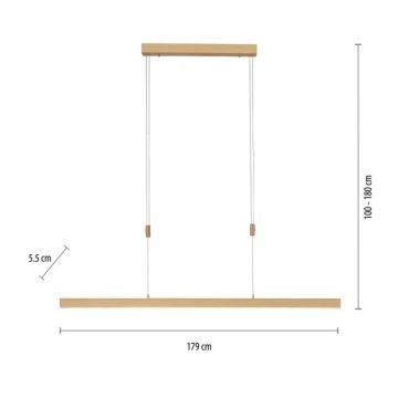 Lustră LED dimabilă pe cablu Paul Neuhaus 2568-60 ADRIANA LED/14W/230V alămie