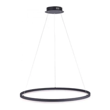 Lustră LED dimabilă pe cablu TITUS LED/50W/230V Paul Neuhaus 2383-13