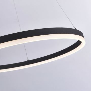 Lustră LED dimabilă pe cablu TITUS LED/50W/230V Paul Neuhaus 2383-13