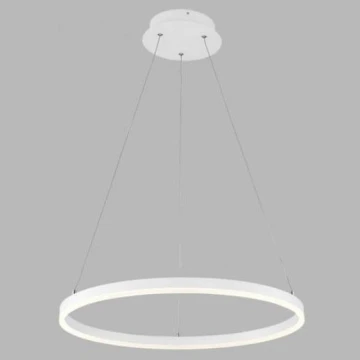 Lustră LED pe cablu CIRCLE LED/42W/230V LED2