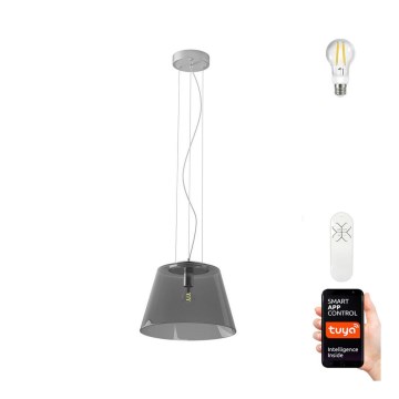 Lustră LED pe cablu dimabilă CONO 1xE27/8,5W/230V 32 cm Tuya Immax NEO 07054L