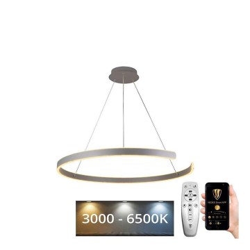 Lustră LED pe cablu dimabilă LED/100W/230V 3000-6500K + telecomandă