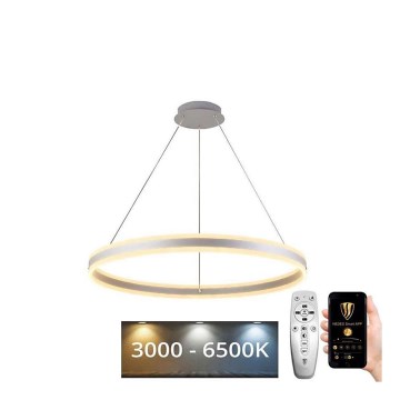 Lustră LED pe cablu dimabilă LED/110W/230V 3000-6500K + telecomandă