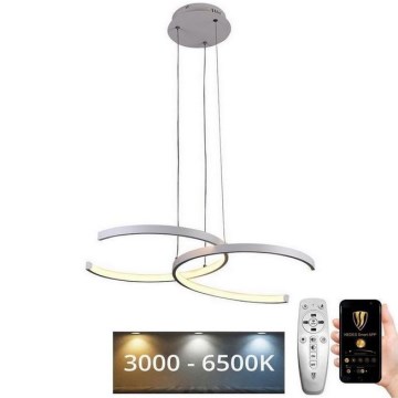 Lustră LED pe cablu dimabilă LED/50W/230V 3000-6500K + telecomandă