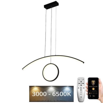 Lustră LED pe cablu dimabilă LED/55W/230V 3000-6500K + telecomandă