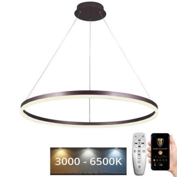 Lustră LED pe cablu dimabilă LED/55W/230V 3000-6500K + telecomandă