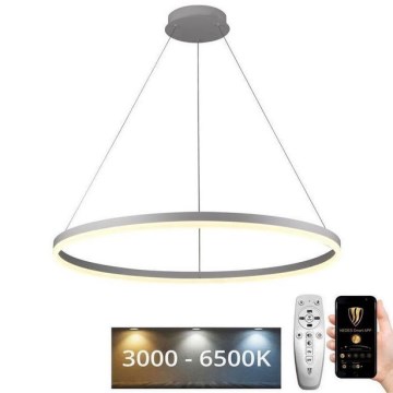 Lustră LED pe cablu dimabilă LED/55W/230V 3000-6500K + telecomandă