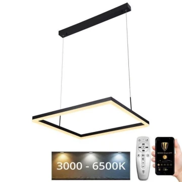 Lustră LED pe cablu dimabilă LED/55W/230V 3000-6500K + telecomandă