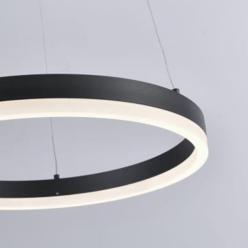 Lustră LED pe cablu dimabilă TITUS LED/28W/230V Paul Neuhaus 2381-13