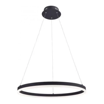 Lustră LED pe cablu dimabilă TITUS LED/38,5W/230V Paul Neuhaus 2382-13