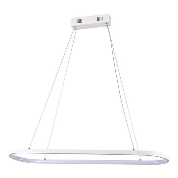 Lustră LED pe cablu LED/24W/230V 3000K alb