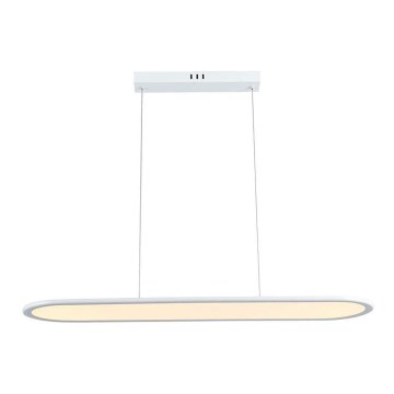 Lustră LED pe cablu LED/24W/230V 3000K alb