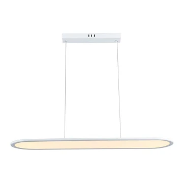 Lustră LED pe cablu LED/24W/230V 3000K alb