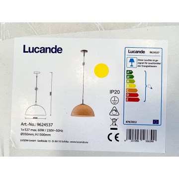 Lustră pe cablu LOURENCO 1xE27/60W/230V Lucande