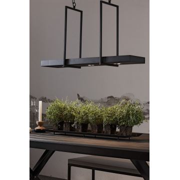 Marbuclöjd 105780 - LED Lustră dimmabilă pe lanț TRAY 3xLED/3W/230V negru