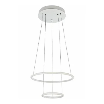 Maytoni MOD807-PL-02-36-W - Lustră pe cablu LED NOLA LED/36W/230V