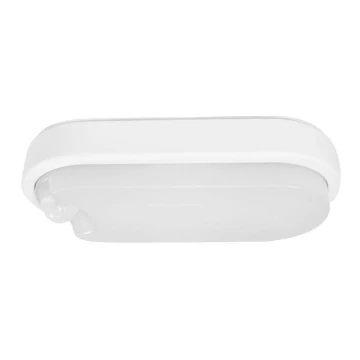 Müller-Licht - Plafonieră LED de exterior cu senzor IPSUM LED/8W/230V IP54