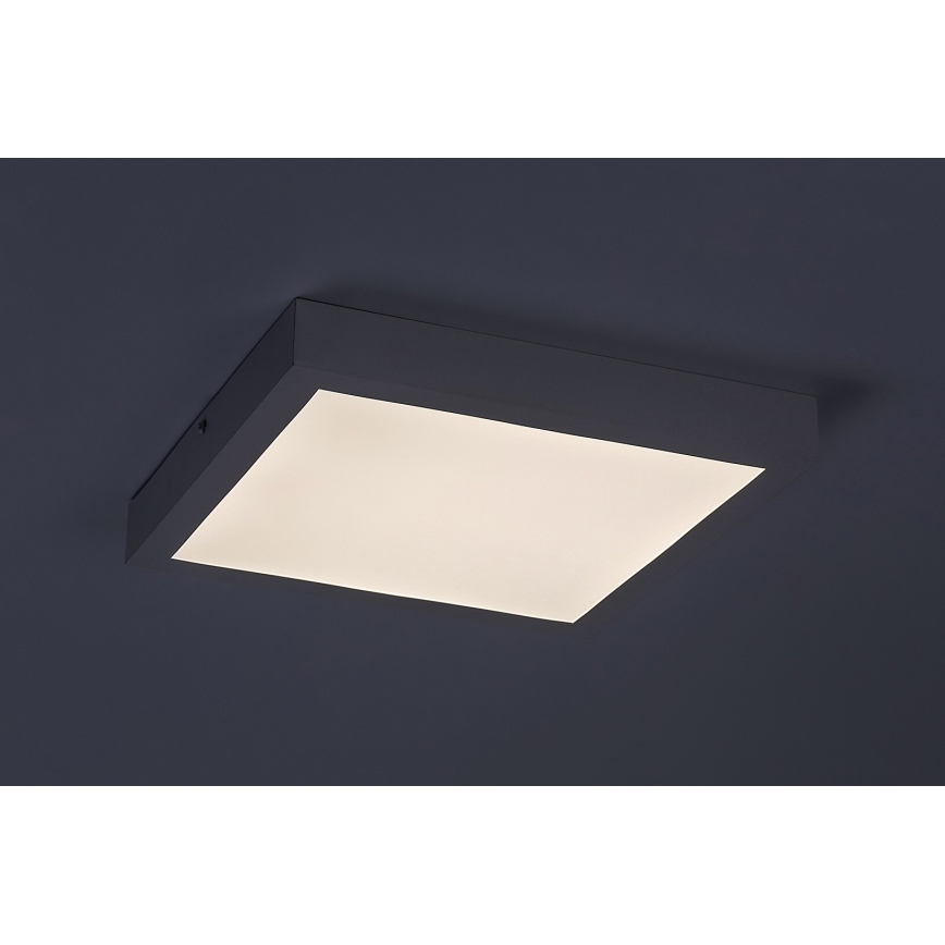 Panou LED aplicat Rabalux LED/18W/230V 4000K 30x30 cm