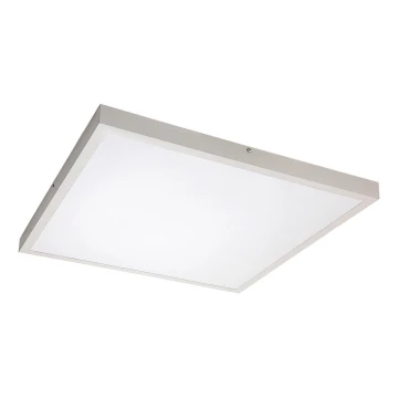 Panou LED aplicat Rabalux LED/40W/230V 4000K 60x60 cm