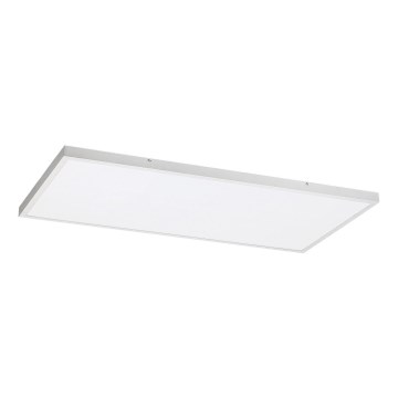 Panou LED aplicat Rabalux LED/80W/230V 4000K 120x60 cm