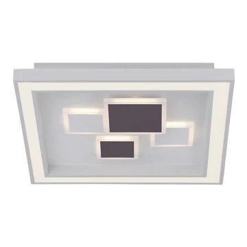 Paul Neuhaus 6283-16 - LED Plafonieră dimmabilă ELIZA LED/30W/230V + LED/18,5W