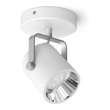 Philips - LED Lampă spot dimmabilă 1xLED/4.5W/230V