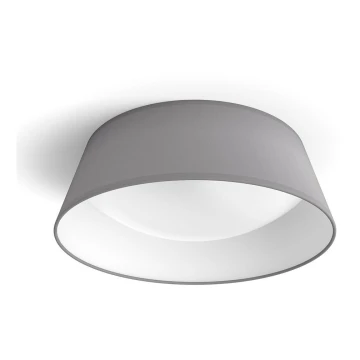 Plafonieră LED/14W/230V gri Philips