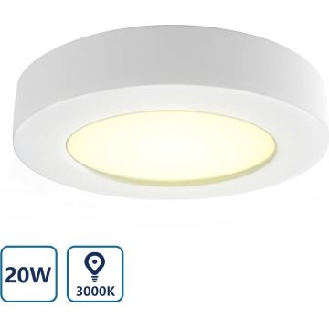 Plafonieră LED Aigostar LED/20W/230V d. 24,7 cm 3000K alb