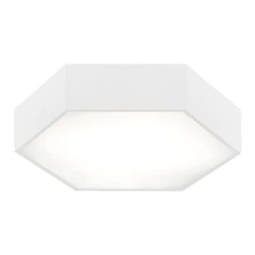 Plafonieră LED ARIZONA LED/22,5W/230V albă Argon 3827