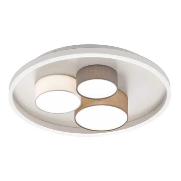 Plafonieră LED BIA LED/45W/230V Wofi 11764