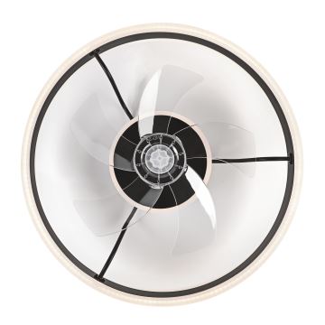 Plafonieră LED dimabilă cu ventilator APOLLO LED/38W/230V negru + telecomandă