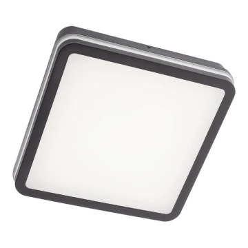 Plafonieră LED de exterior cu senzor ISOLA LED/24W/230V 3000/4000/6500K IP54 Redo 90292