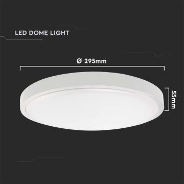 Plafonieră LED de exterior cu senzor LED/24W/230V 4000K IP44 albă