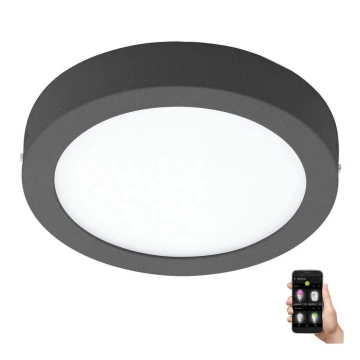 Plafonieră LED dimabilă ARGOLIS-C LED/16,5W/230V IP44 antracit Eglo 33577