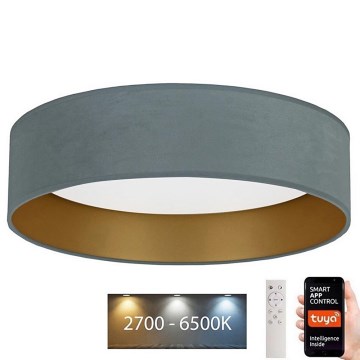 Plafonieră LED dimabilă Brilagi VELVET SMART LED/24W/230V d. 45 cm 2700-6500K Wi-Fi Tuya verde-mentă/auriu + telecomandă