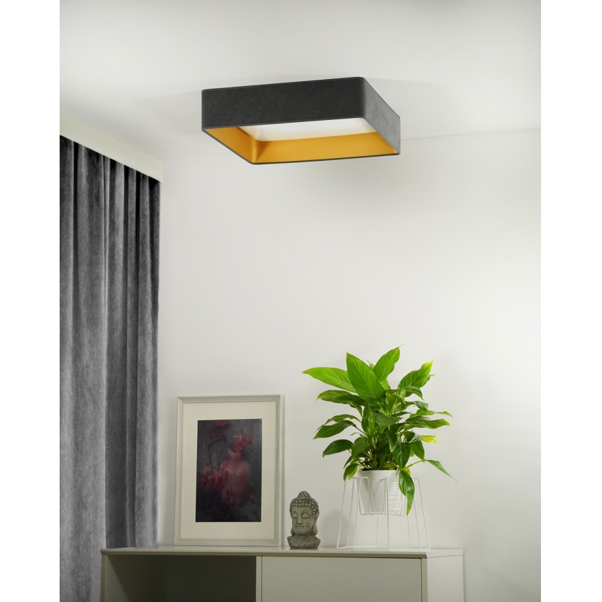 Plafonieră LED dimabilă Brilagi VELVET SQUARE LED/24W/230V 3000/4000/6500K gri + telecomandă