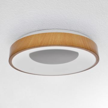 Plafonieră LED dimabilă DORIA LED/48W/230V 3000-6500K d. 39 cm + telecomandă