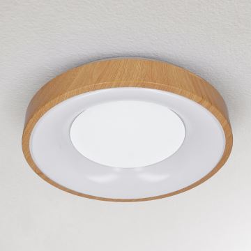 Plafonieră LED dimabilă DORIA LED/48W/230V 3000-6500K d. 39 cm + telecomandă