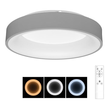 Plafonieră LED dimabilă FALCON LED/80W/230V 3000-6500K d. 60 cm gri Brilagi + telecomandă