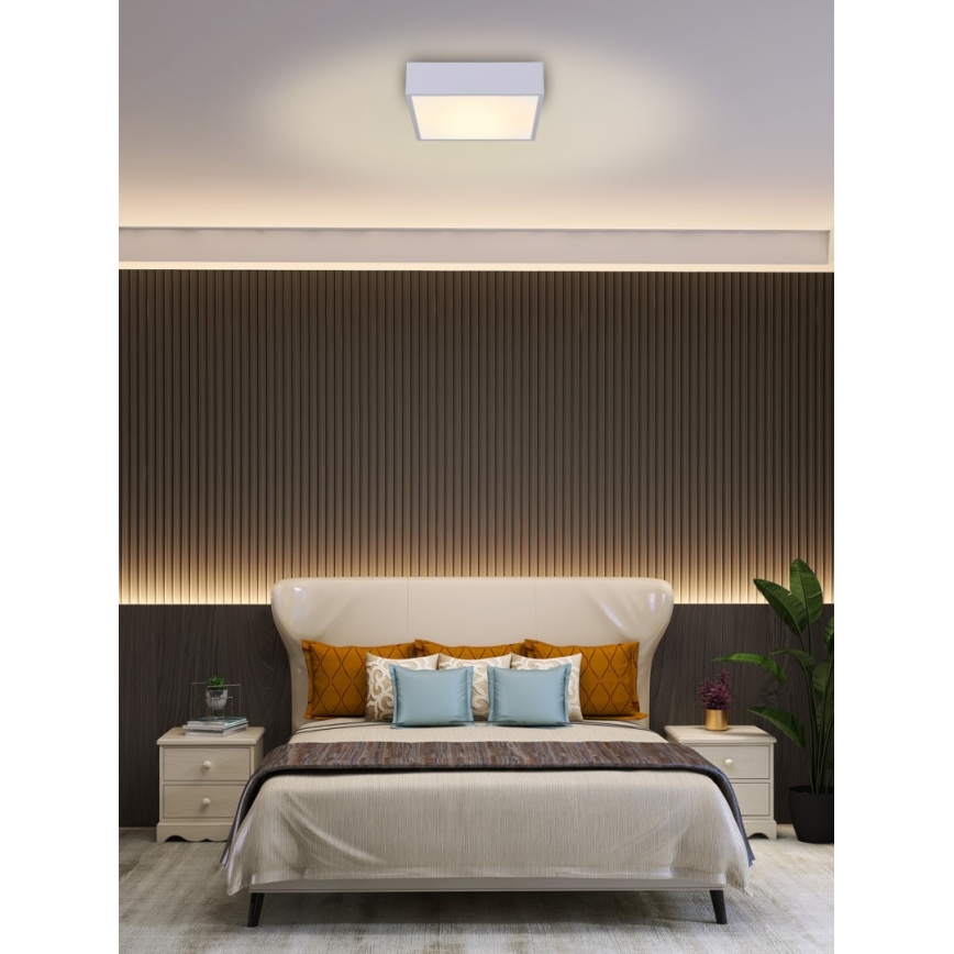 Plafonieră LED dimabilă Immax NEO 07238L CANTO LED/22W/230V alb Tuya + telecomandă