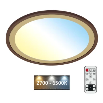 Plafonieră LED dimabilă SLIM LED/22W/230V 2700-6500K Brilo + telecomandă