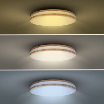 Plafonieră LED dimabilă WOODY LED/48W/230V 3000-6500K maro d. 38 cm + telecomandă