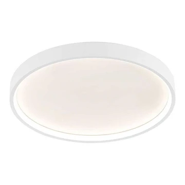 Plafonieră LED DUBAI LED/27,5W/230V albă Wofi 12055