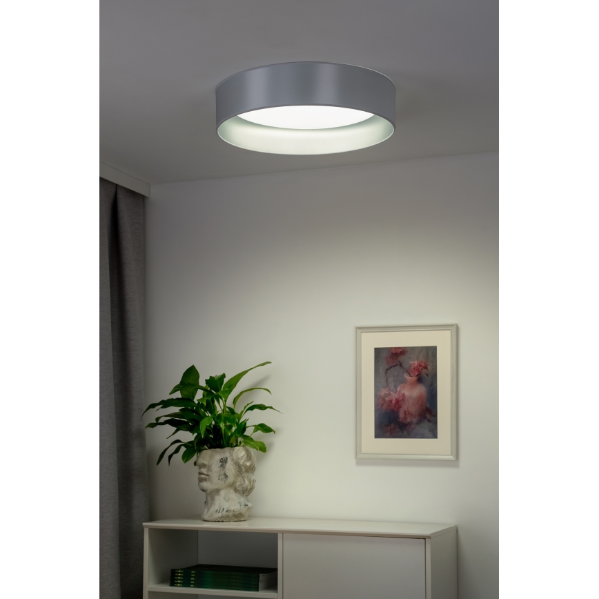 Plafonieră LED Duolla ROLLER LED/24W/230V argintiu