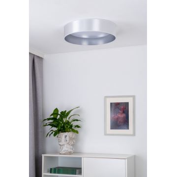 Plafonieră LED Duolla ROLLER LED/24W/230V argintiu