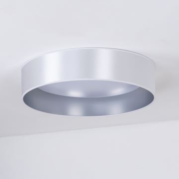 Plafonieră LED Duolla ROLLER LED/24W/230V argintiu