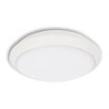 Plafonieră LED exterior TIPO LED/24W/230V IP66