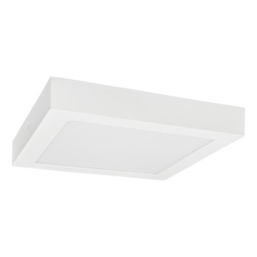 Plafonieră LED FENIX LED/12W/230V 3800K d. 17 cm alb zăpadă