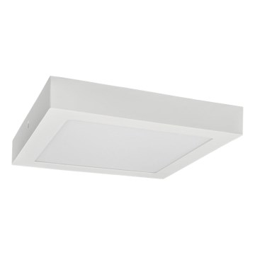 Plafonieră LED FENIX LED/12W/230V 3800K d. 17 cm